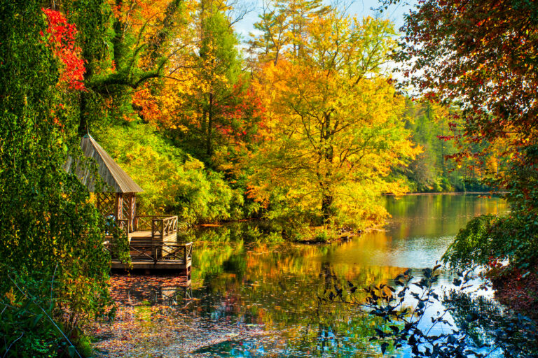 "Image taken in late October just off the Blue Ridge Parkway near Asheville, North Carolina, USA. Similar images:"